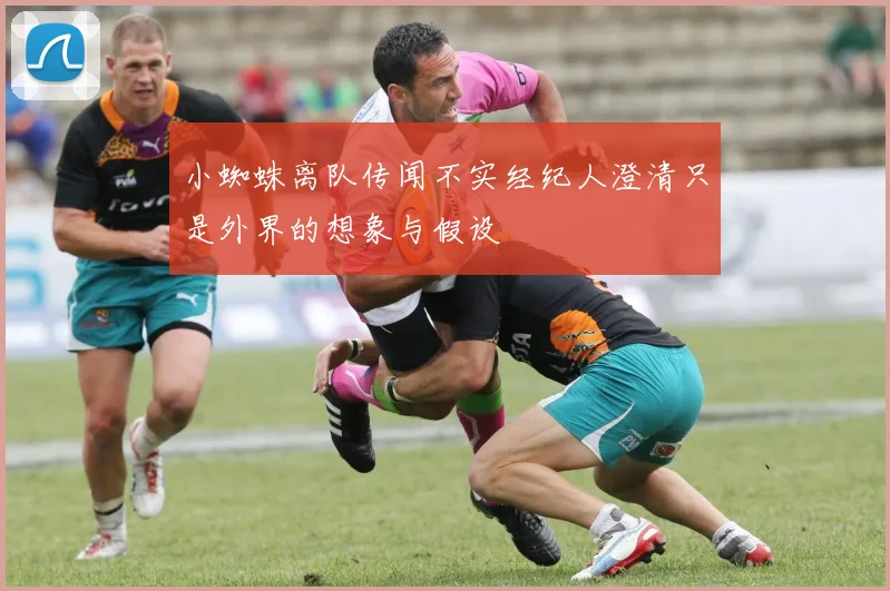 小蜘蛛离队传闻不实经纪人澄清只是外界的想象与假设