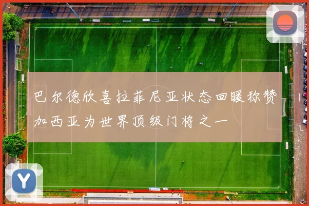 巴尔德欣喜拉菲尼亚状态回暖称赞加西亚为世界顶级门将之一