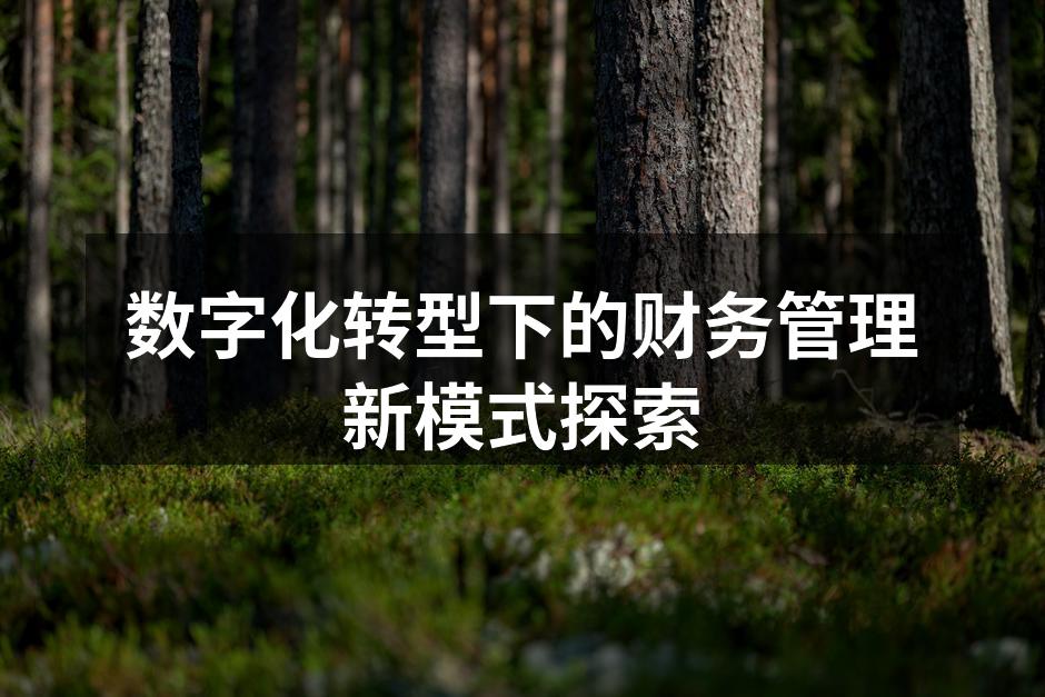 数字化转型下的财务管理新模式探索