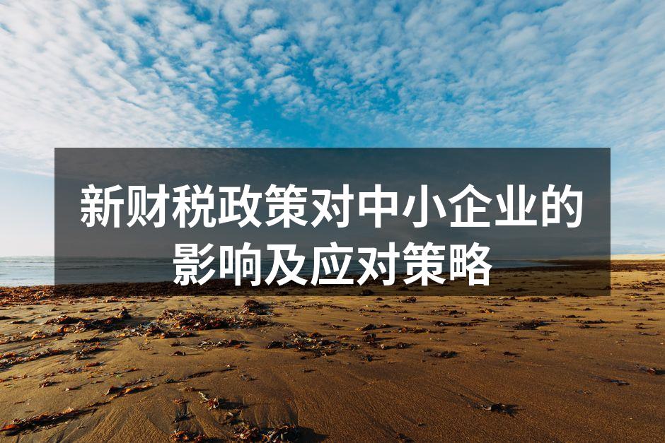 新财税政策对中小企业的影响及应对策略