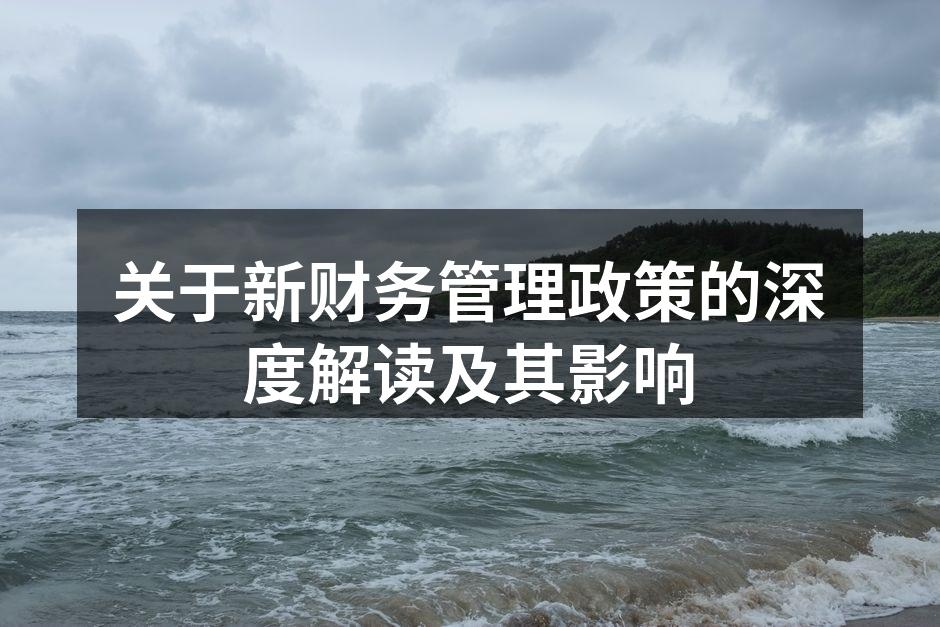 关于新财务管理政策的深度解读及其影响