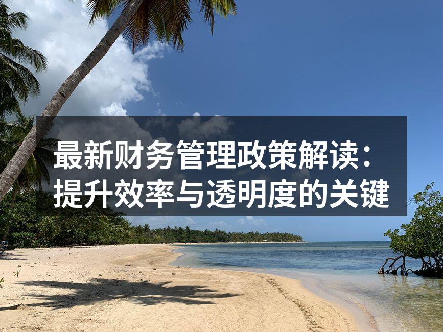 最新财务管理政策解读：提升效率与透明度的关键